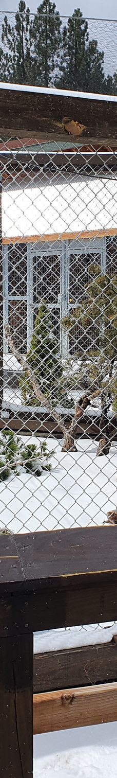 大熊湖动物园-大熊湖