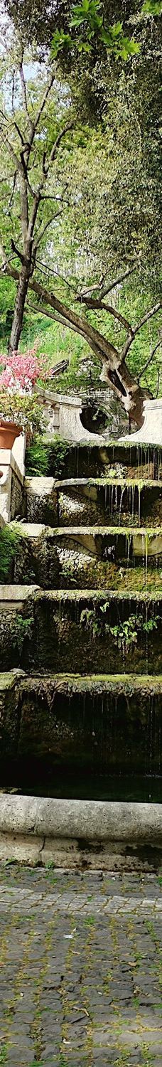 罗马植物园-罗马