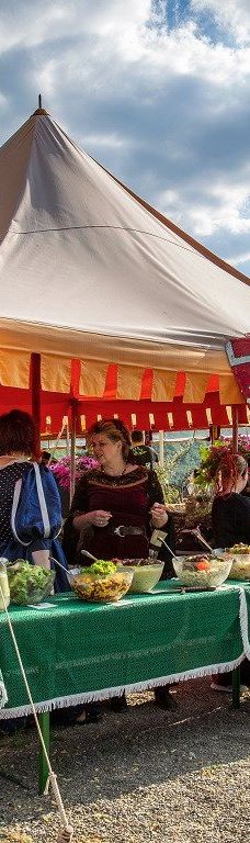 Metternich Castle-拜尔施泰因