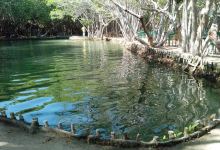 Reserva Ecologica El Corchito景点图片