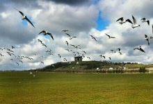 Herrington Country Park景点图片