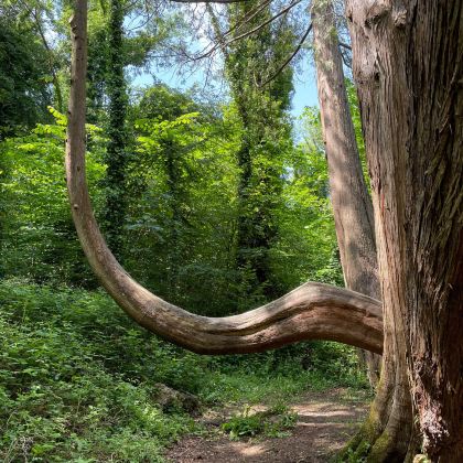 爱尔兰+北爱尔兰6日5晚拼小团