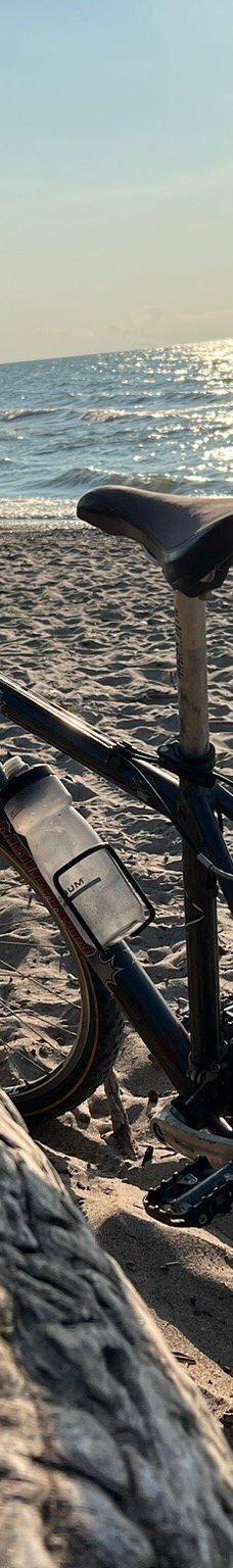 Pinery Provincial Park-大本德