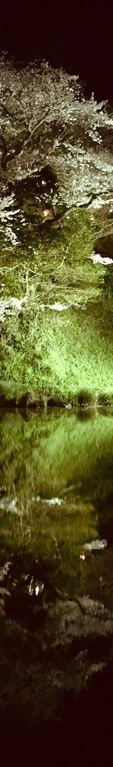 清水船越堤公園-静冈