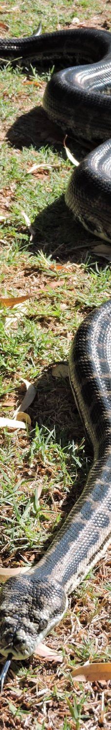 Bunbury Wildlife Park-South Bunbury