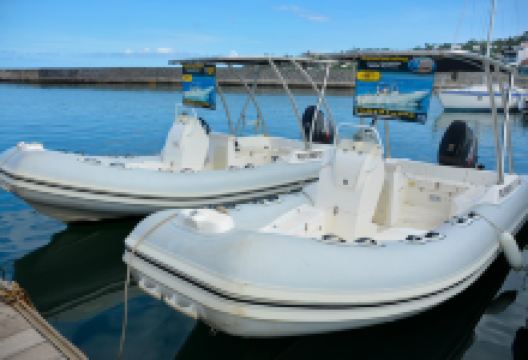 Reunion Fishing Club景点图片