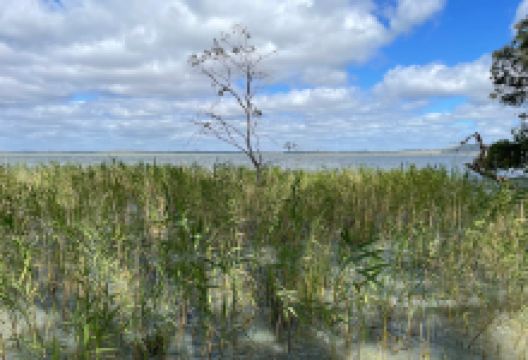 Lake Burrumbeet景点图片