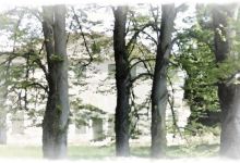 Villa Zeno di Donegal di Cessalto景点图片