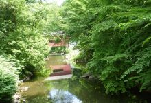 Wooddale Covered Bridge景点图片