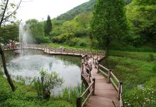 秀丽植物园景点图片