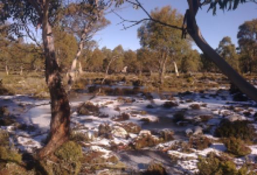 Great Western Tiers Conservation Area景点图片