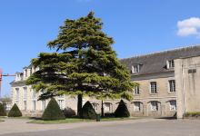 Galerie Le Lieu景点图片