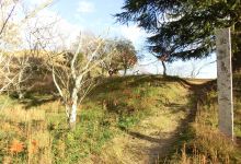 马冢古坟景点图片