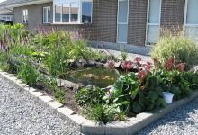 MPtropefisk购物图片