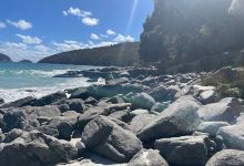 Cape Hauy Trailhead景点图片