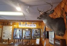 Warren County Fish Hatchery景点图片