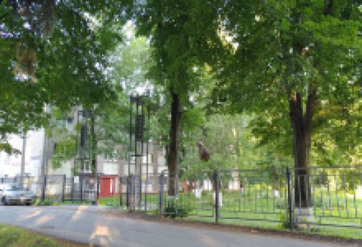 Park Pamyati景点图片