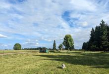 Lucky Memorial Dog Park景点图片