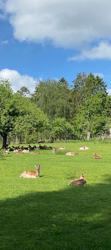 Südliche weinstraße wildlife park-南魏恩斯特拉瑟县