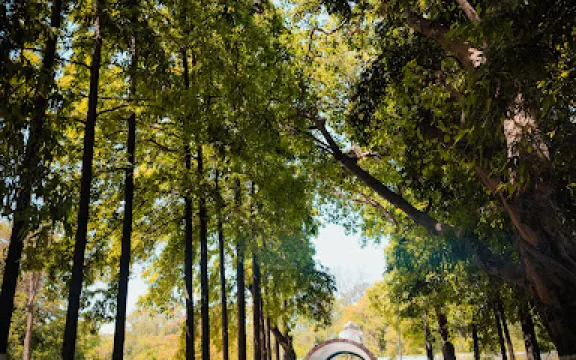 Kukrail Forest Reserve