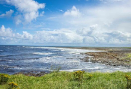 Wild Atlantic Way point "Easky Pier'景点图片
