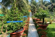 Khu du lịch Ve Chai Thần Kỳ - uống cà phê trên ngọn dừa景点图片