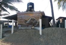 CENTRO DE PROTECCIÓN Y CONSERVACIÓN DE LA TORTUGA MARINA "TARACOSTA"景点图片