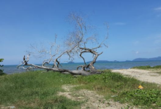 Balai Cerap AL-BIRUNI景点图片