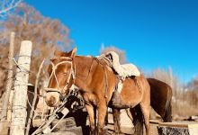 Cabalgatas los 3 hermanos景点图片