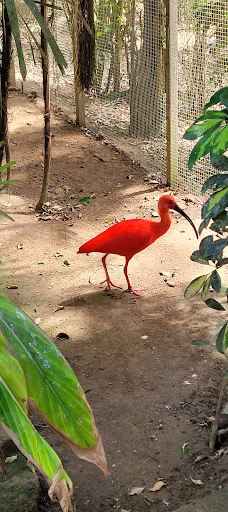 Butterfly Park Empuriabrava-Alt Emporda