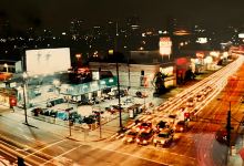 Gurisatti Faiskola Kft. Kizárólag viszonteladóknak!购物图片