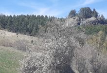 Zona attrezzata "Sasso grosso"景点图片