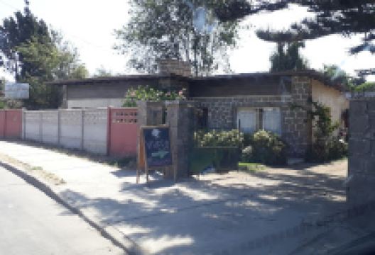 Vivero San Sebastian LLo-lleo购物图片