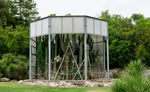 Orto Botanico ‘Angelo Rambelli’