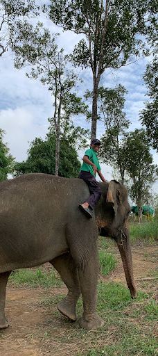 SAFARI LAGOI BINTAN-民丹岛