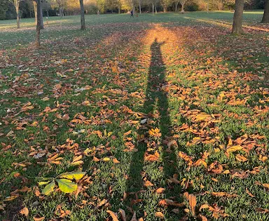 Bridgford Park