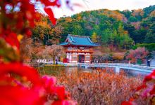 Nhà Vườn Đào Tiên景点图片