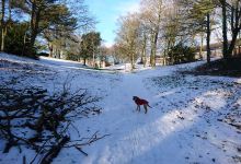 Dene Park景点图片