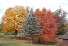 Monmouth Park Gazebo景点图片