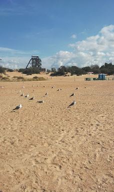 Olimpiya-阿纳普斯基区