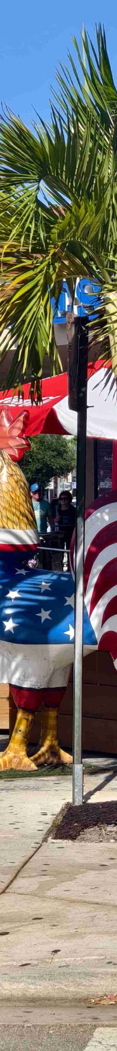 小哈瓦那-迈阿密-DANIEL ZHANG🍀