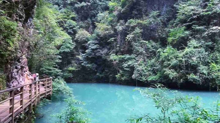 2D1N · Group Tours · Mini group of 6 people: Avatar Hallelujah Mountains + Tianmen Mountain + Grand Canyon Glass Bridge