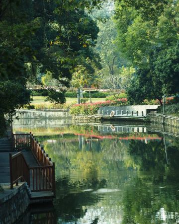 荔湾湖公园景点图片 37