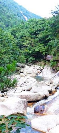 大别山国家森林公园-罗田