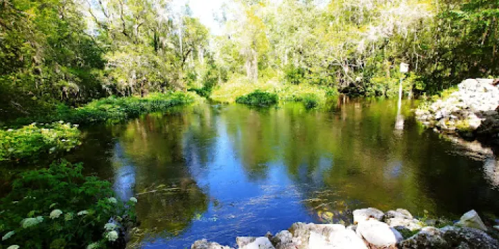 Lake Panasoffkee WMA