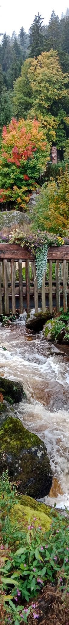 特里贝格瀑布-特里贝格