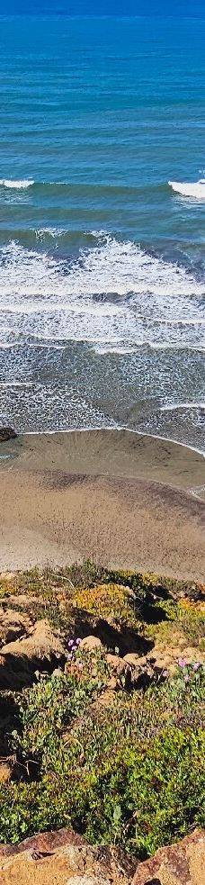 多利松国家自然保护区-佐拉