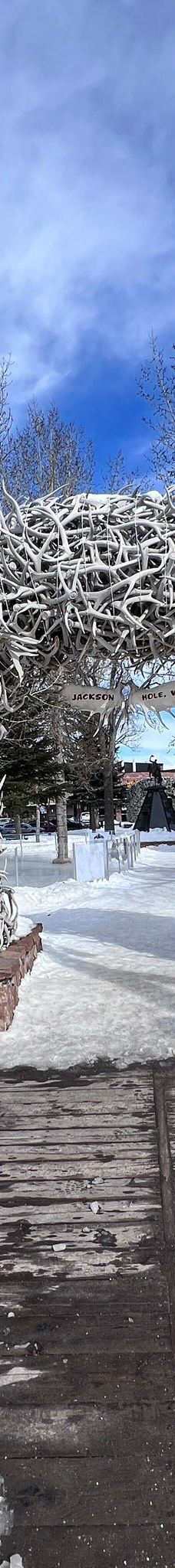 杰克逊鹿角公园-杰克逊