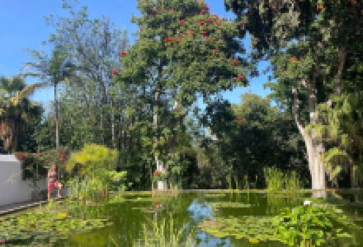 Botanical Garden景点图片