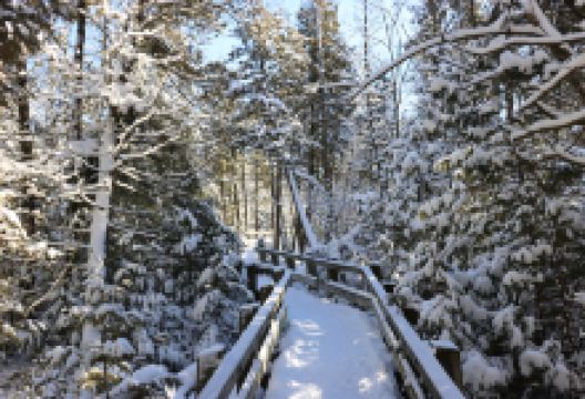 Crawford Lake Conservation Area景点图片
